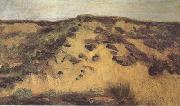 Vincent Van Gogh Dunes(nn04) oil on canvas